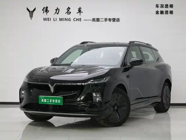 Lantu Automobile Lantu Bosom Friend Lantu Zhiyin 2024 Four-Wheel Drive Global Version — фото