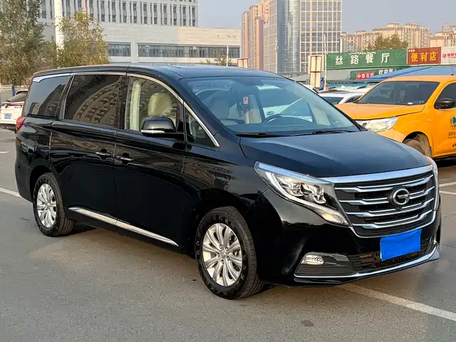 Gac Trumpchi Trumpchi M8 Trumpchi M8 2018 320t Exclusive Edition — фото