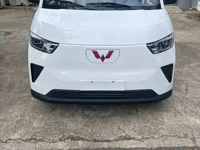Wuling Motors Wuling Yangguang Wuling Yangguang 2024 Model 300km Comfortable Window-Sealed Version 60kw — фото