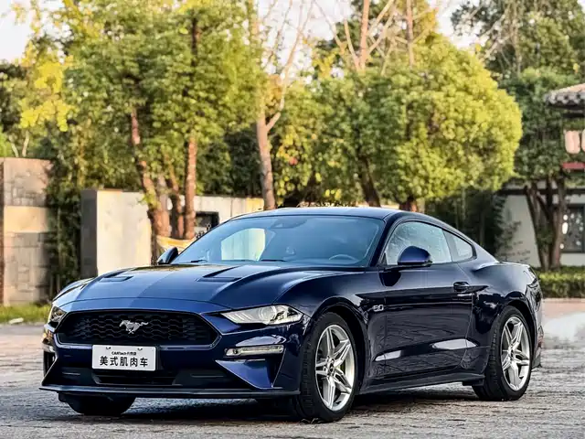 Ford Mustang Mustang 2019 2.3l Ecoboost Performance Enhanced Version — фото