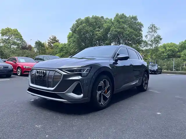 Audi Audi E-Tron Audi E-Tron 2021 50 Quattro Premium Model — фото