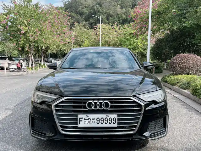 Audi Audi A6l Audi A6l 2019 45 Tfsi Premium Dynamic Model — фото