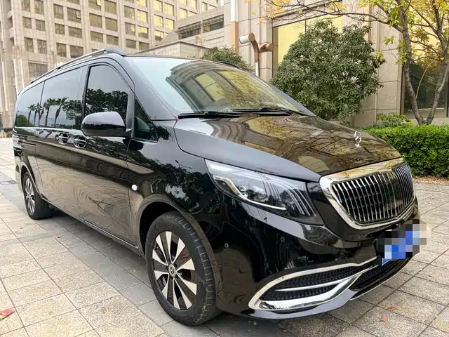 Mercedes-Benz Vito Vito 2018 2.0t Business Edition National Vi — фото