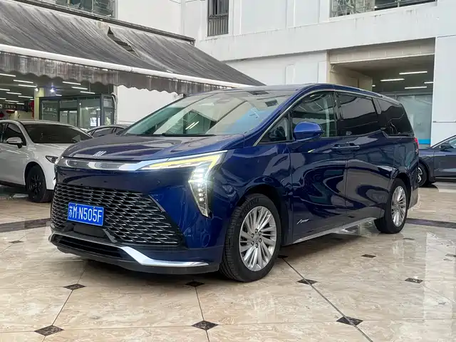 Buick Century Century 2023 2.0t Six-Seater Yuanshi Edition — фото