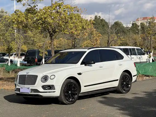 Bentley Bentayga Bentayga 2016 6.0t Standard Edition — фото