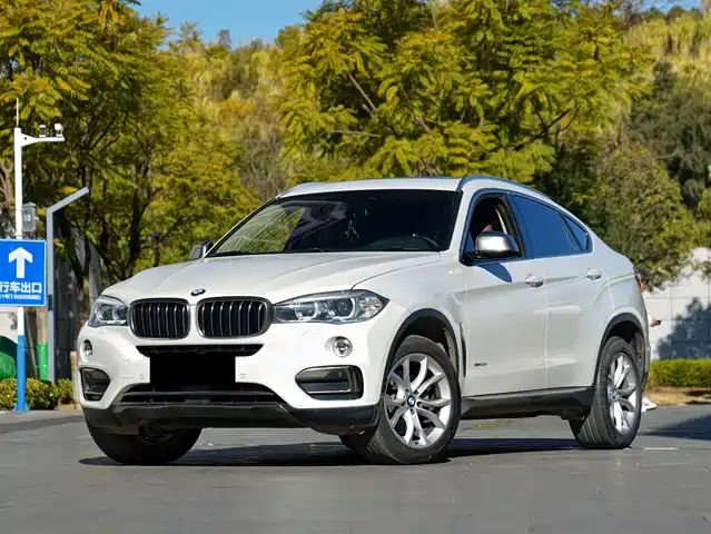 Bmw Bmw X6 Bmw X6 2015 Xdrive35i Luxury Model — фото