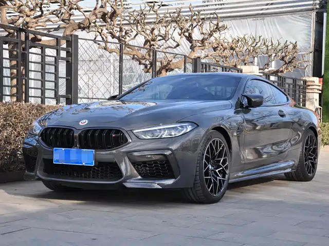 Bmw BMW M8 BMW M8 2019 M8 Coupe Thunder Edition — фото