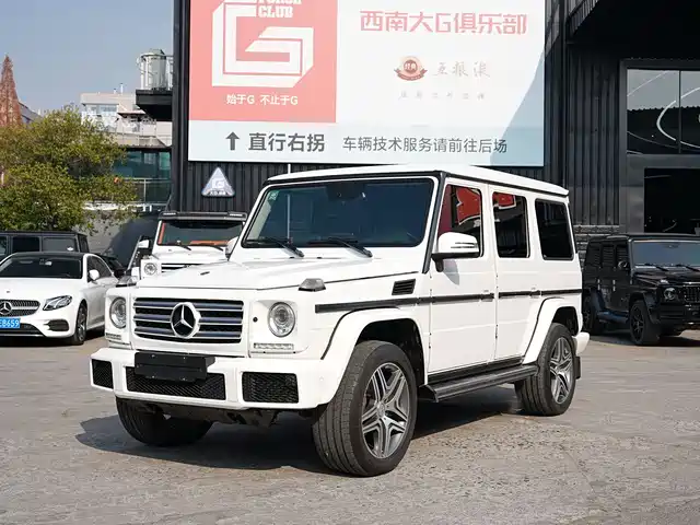 Mercedes-Benz Mercedes Benz G Class Mercedes-Benz G-Class 2017 G 350 D — фото