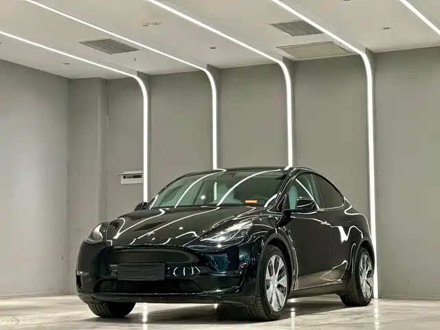 Tesla Model Y Model Y 2022 Rear-Wheel Drive Version — фото