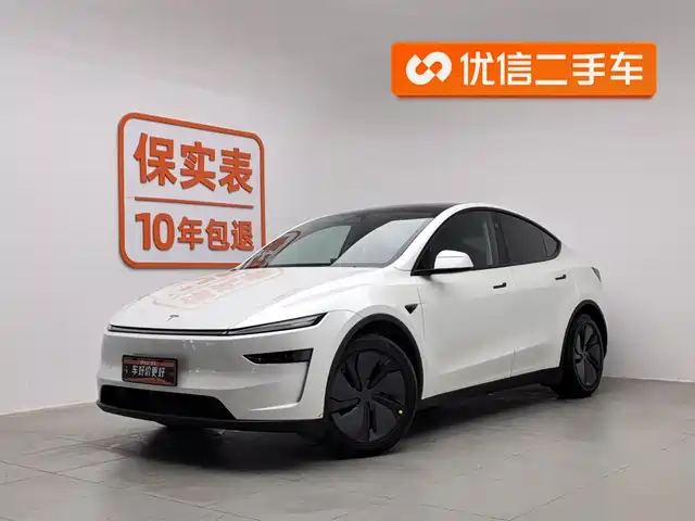 Tesla Model Y Model Y 2025 Long Range All-Wheel Drive First Edition — фото