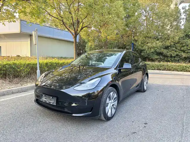 Tesla Model Y Model Y 2022 Facelift Rear-Wheel Drive Version — фото