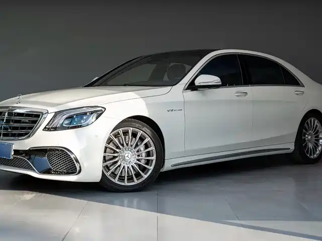 Mercedes-Benz Mercedes-Benz S-Class Amg Mercedes-Benz S-Class Amg 2014 Amg S 65 L — фото