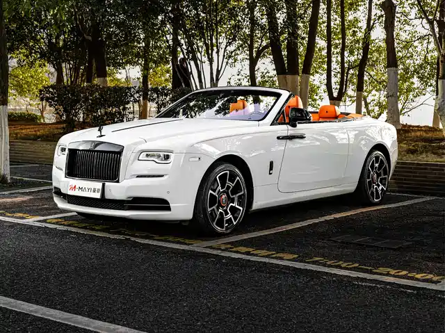 Rolls Royce Yao Ying Yaoying 2018 6.6t Standard Model — фото