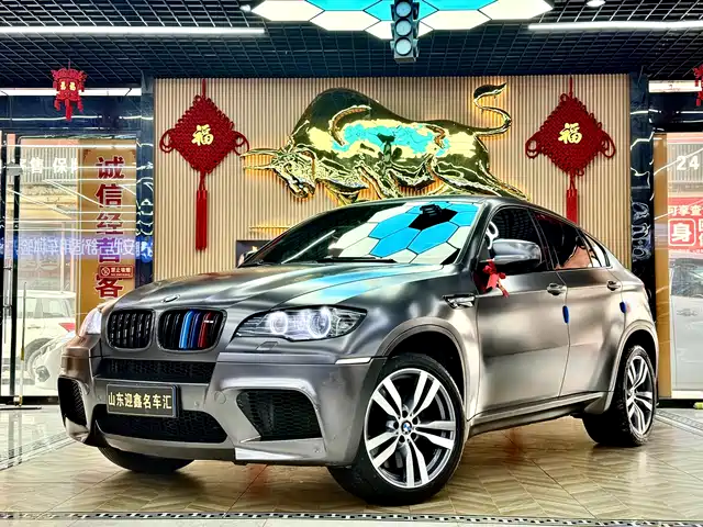 Bmw Bmw X6 M Bmw X6 M 2010 X6 M — фото