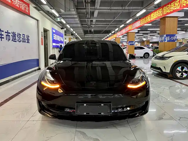 Tesla Model 3 Model 3 2022 Rear-Wheel Drive Version — фото
