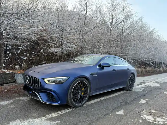 Mercedes-Benz Amg Gt Amg Gt 2019 Amg Gt 63 S 4matic+ Four-Door Sports Car