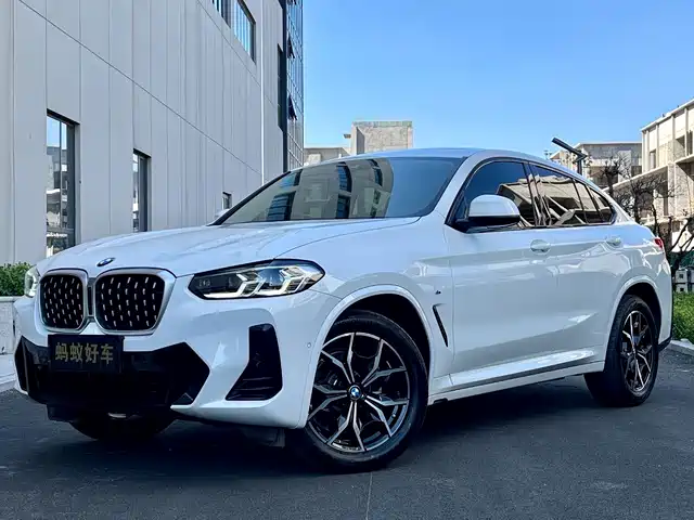 Bmw Bmw X4 Bmw X4 2022 Xdrive 25i M Sports Package — фото