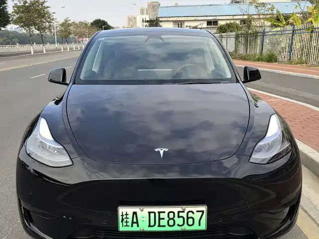 Tesla Model Y Model Y 2022 Facelift Rear-Wheel Drive Version — фото