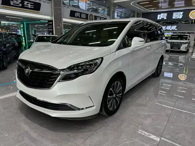 Buick Buick Gl8 Buick Gl8 2021 Es Lu Zun 653t Luxury Model — фото