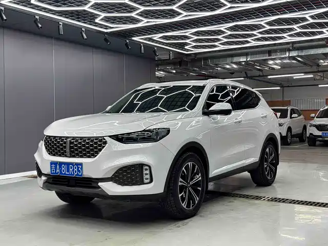 Wei Brand Wei Brand Vv6 Weipai Vv6 2020 2.0t 2wd Smart Enjoy+ — фото