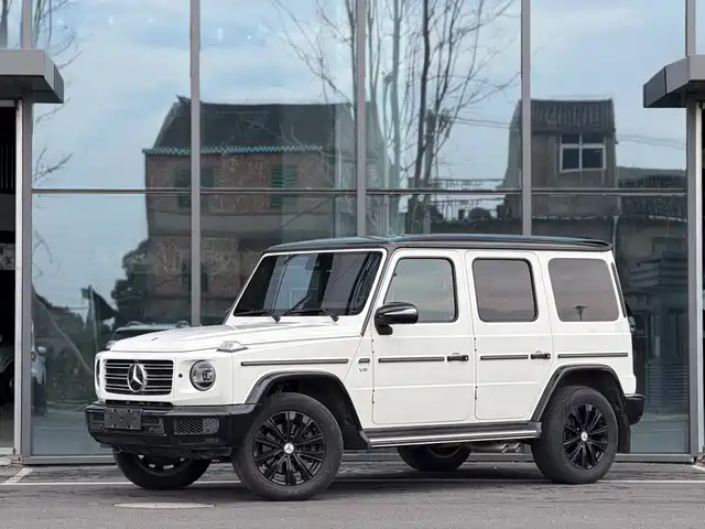 Mercedes-Benz Mercedes Benz G Class Mercedes-Benz G-Class 2020 G 350 — фото