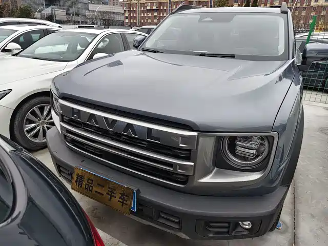 Harvard Harvard Dog Haval Big Dog 2024 1.5t Dct Border Collie Edition — фото