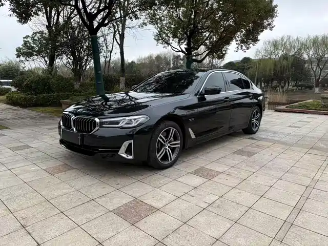Bmw Bmw 5 Series New Energy Bmw 5 Series New Energy 2022 Model 535le Luxury Package — фото