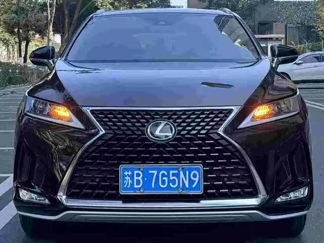 Lexus Lexusrx Lexus Rx 2020 300 Two-Wheel Drive Comfort Version National Vi — фото