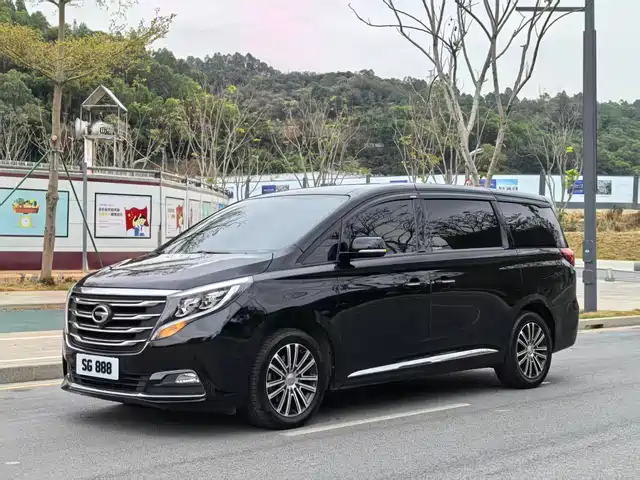 Gac Trumpchi Trumpchi M8 Trumpchi M8 2018 320t Exclusive Edition — фото