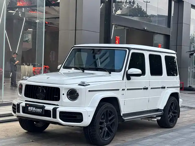 Mercedes-Benz Mercedes Benz G Class Mercedes-Benz G-Class 2020 G 350 — фото