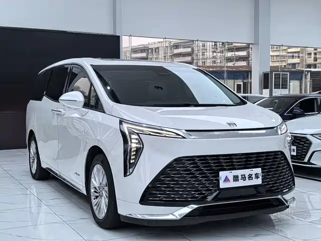 Buick Century Century 2023 2.0t Six-Seater Yuanshi Edition — фото