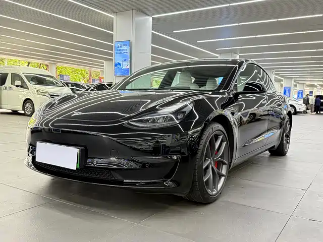 Tesla Model 3 Model 3 2022 Performance High-Performance All-Wheel Drive Version — фото