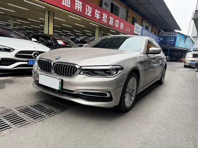 Bmw Bmw 5 Series New Energy Bmw 5 Series New Energy 2020 Mileage Upgraded Version 530le Pioneer Version — фото