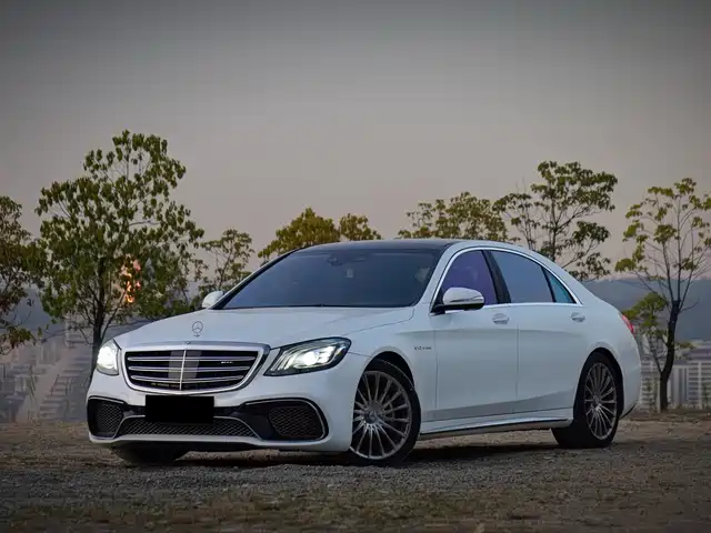 Mercedes-Benz Mercedes-Benz S-Class Amg Mercedes-Benz S-Class Amg 2014 Amg S 65 L — фото