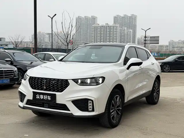 Wei Brand Wei Brand Vv5 Wei Brand Vv5 2020 Model 1.5t Two-Wheel Drive Yanfeng — фото