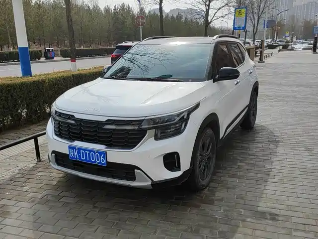 Kia Sethus Sethus 2023 1.5l Cvt Deluxe Edition — фото