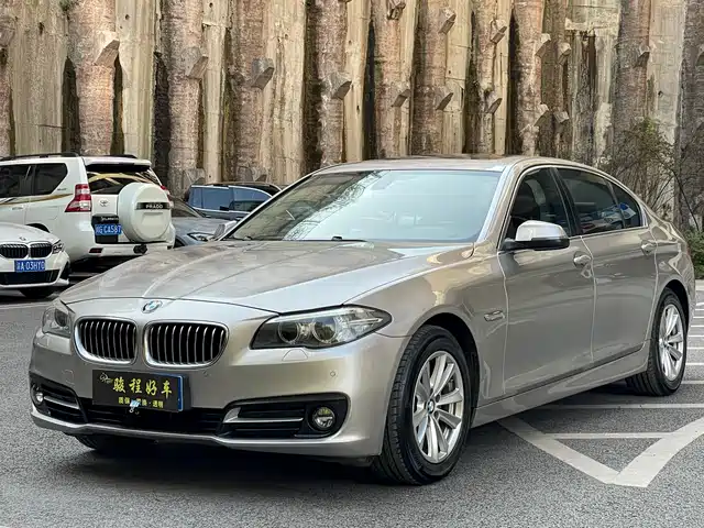 Bmw Bmw 5 Series Bmw 5 Series 2014 520li Elegant — фото