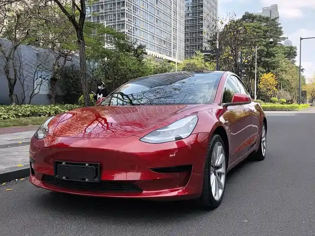 Tesla Model 3 Model 3 2019 Standard Range Rear Drive Upgraded Version — фото