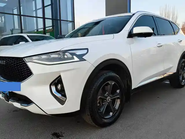 Harvard Haval F7 Haval F7 2019 1.5t Two-Wheel Drive I Type National Vi — фото