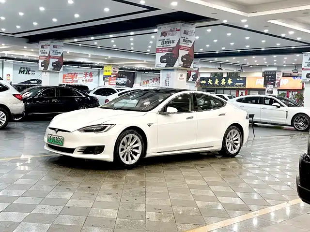 Tesla Model S Model S 2016 Model S 75d — фото