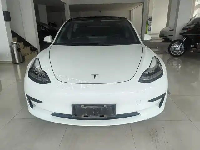 Tesla Model 3 Model 3 2019 Standard Range Rear Drive Upgraded Version — фото