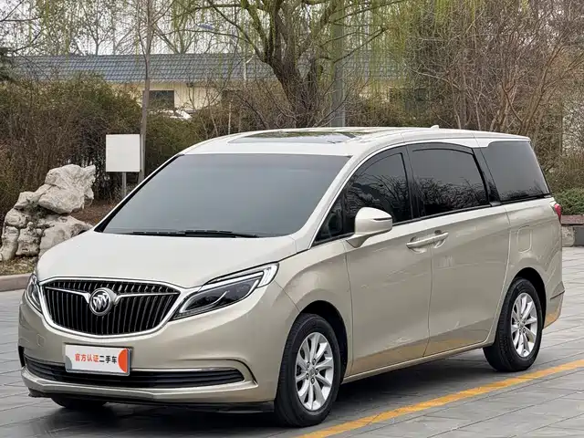 Buick Buick Gl8 Buick Gl8 2017 Es 28t Exclusive Type National V — фото
