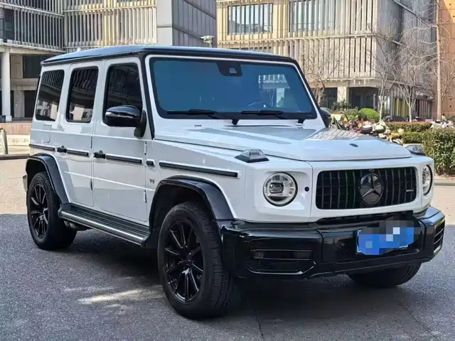 Mercedes-Benz Mercedes Benz G Class Mercedes-Benz G-Class 2020 G 350 — фото