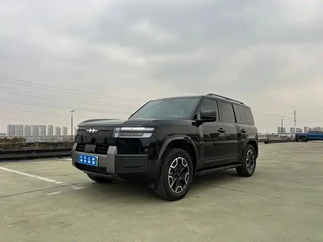 Equation Leopard Titanium 7 Titanium 7 2025 200KM two-wheel drive Max version — фото