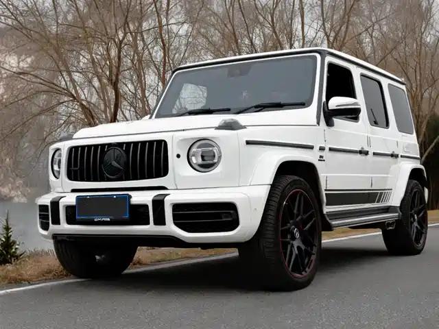 Mercedes-Benz Mercedes Benz G Class Mercedes-Benz G-Class 2019 G 500 — фото