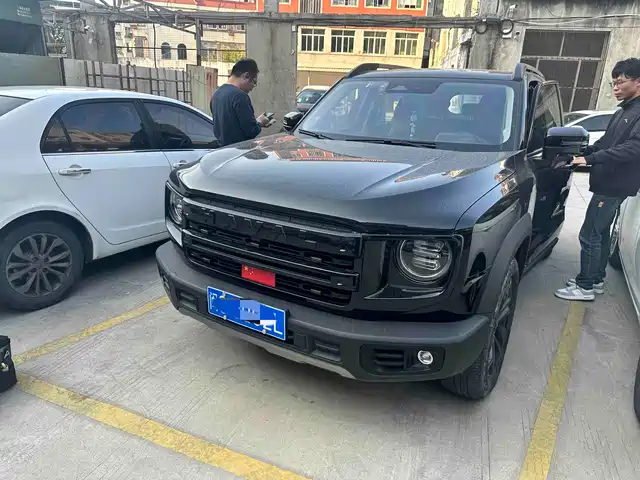 Harvard Harvard Dog Haval Big Dog 2024 1.5t Dct Border Collie Edition — фото