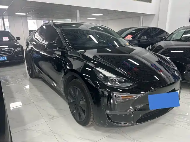 Tesla Model Y Model Y 2022 Long-Range All-Wheel Drive Version — фото