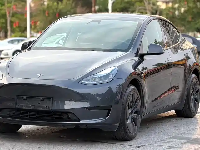 Tesla Model Y Model Y 2024 Rear-Wheel Drive Version — фото