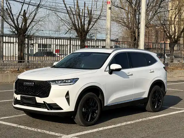 Harvard Haval H6 Haval H6 2021 Third Generation 2.0t Automatic Four-Wheel Drive Max — фото