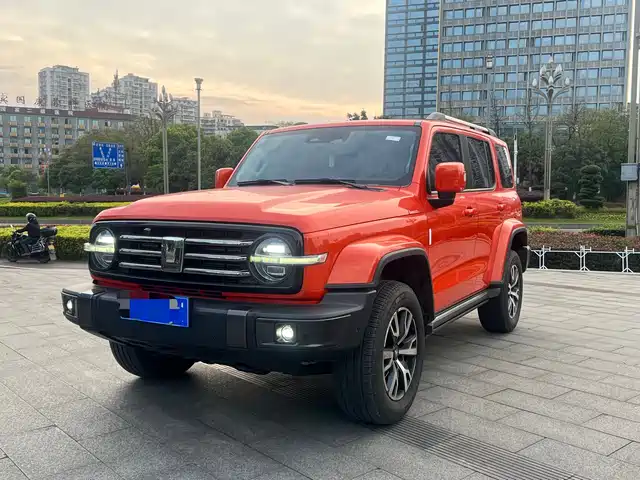 Tank Tank 300 Tank 300 2021 City Edition 2.0t Very Stylish — фото